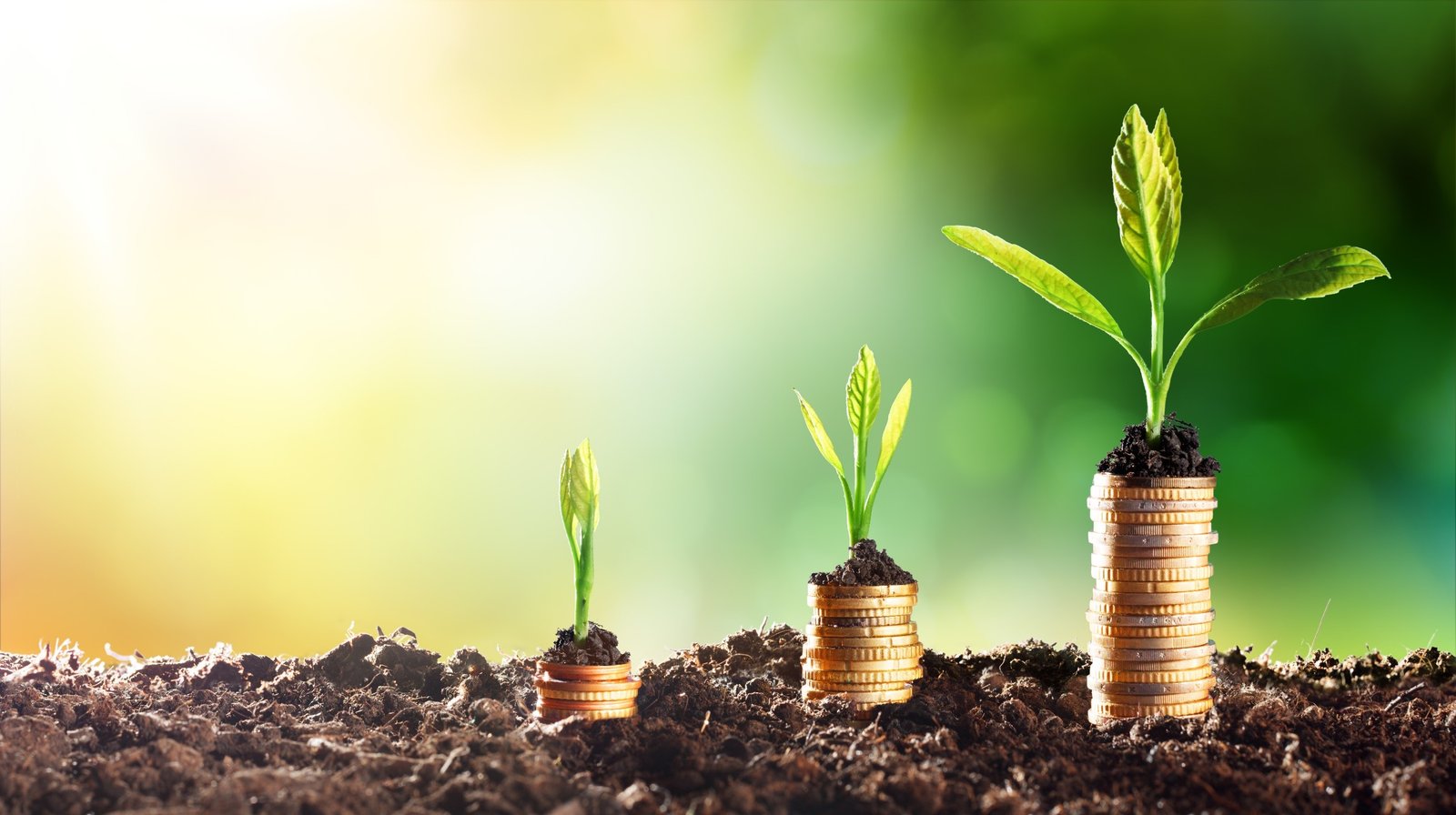 Fund Raising & Valuation